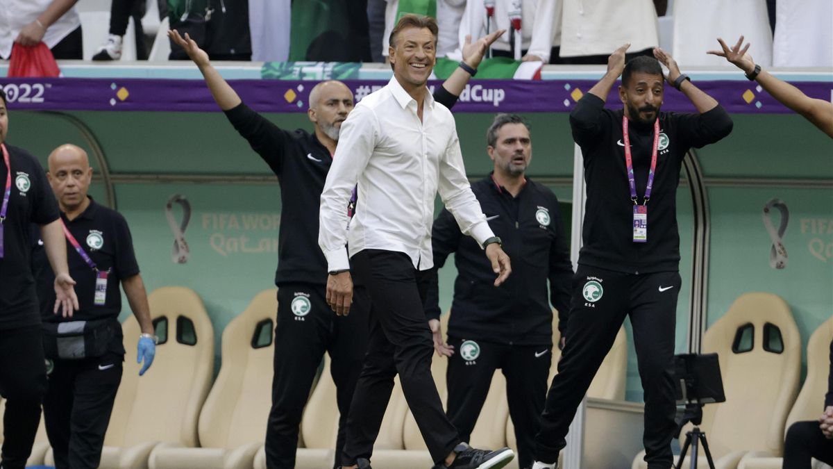 Tee-shirt Anatomie D39un écureuil éc